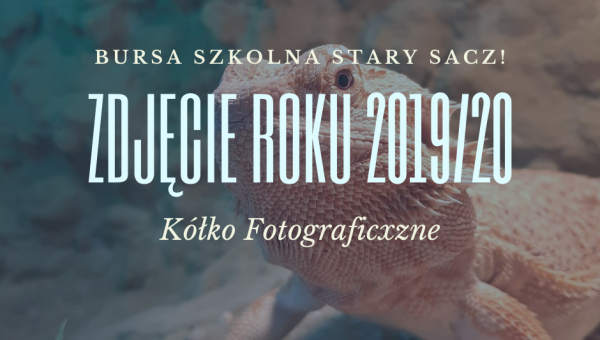 Zobacz najlepsze zdjęcie roku 2019/20- ogłoszenie wyników 